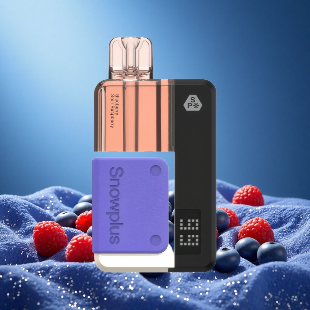 Snowplus Swift 15000 Puffs Dual Mesh 1000mAh 2+10ml Reusable Battery Pod Kit Blueberry Sour Raspberry grossiste puff