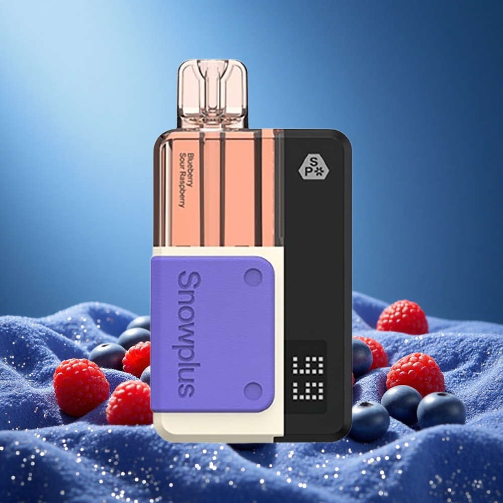 Snowplus Swift 5000 Puffs Dual Mesh 1000mAh Blueberry Sour Raspberry grossiste puff