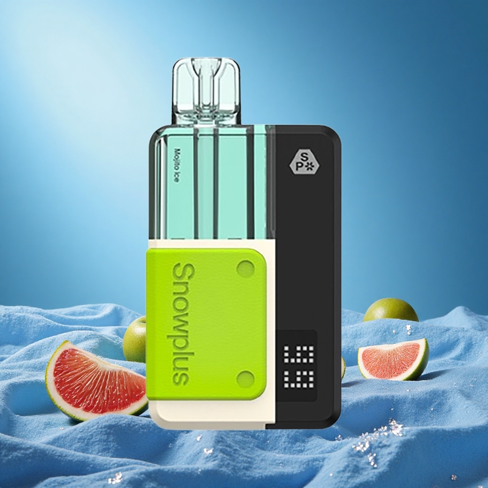 Snowplus Swift 5000 Puffs Dual Mesh 1000mAh Mojito Ice grossiste puff