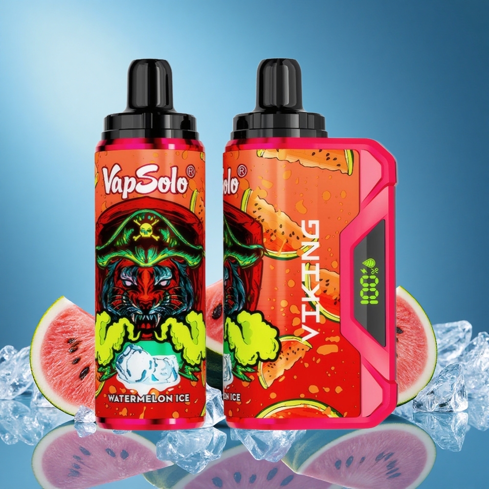 VapSolo VIKING 12000 Puffs 22ml 20/50mg Watermelon Ice Type-C LED Display grossiste puff