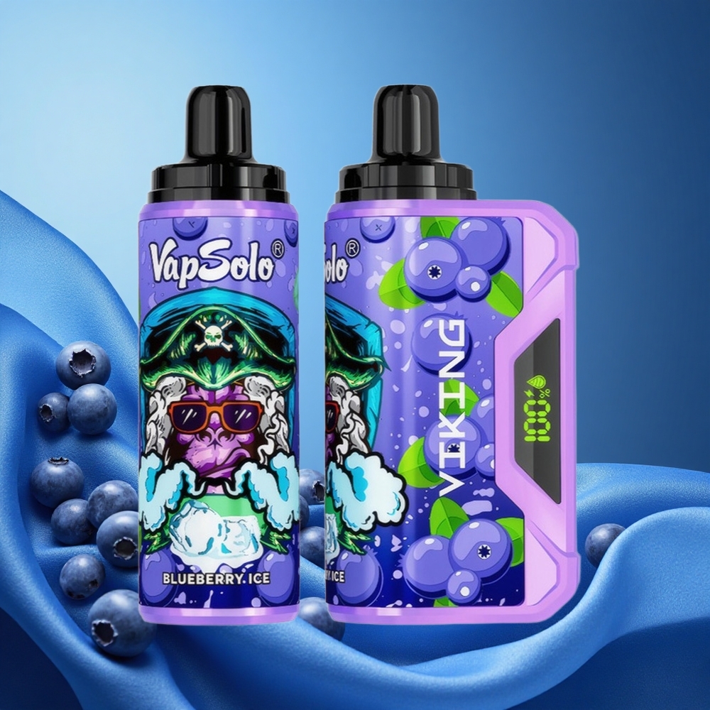 VapSolo VIKING 12000 Puffs 22ml Blueberry Type-C LED Display grossiste puff