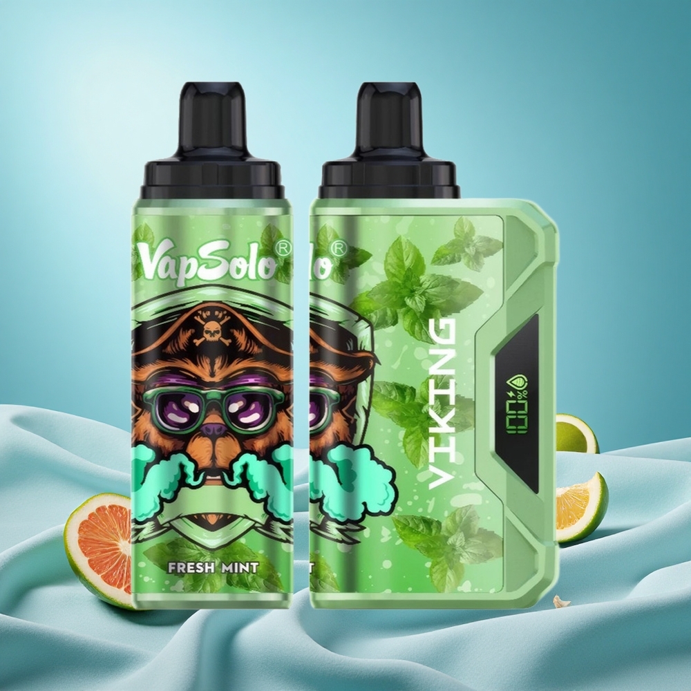 VapSolo VIKING 12000 Puffs 22ml Fresh Mint Disposable Vape with LED Display & Type-C grossiste puff