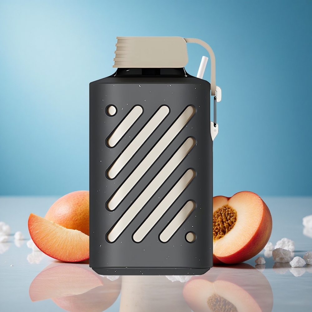 VOZOL GEAR 10000 Puffs Peach Mango Smoothie Disposable Vape with 20ml E-liquid, 500mAh Battery,20/50mg/ml Nicotine - grossiste puff