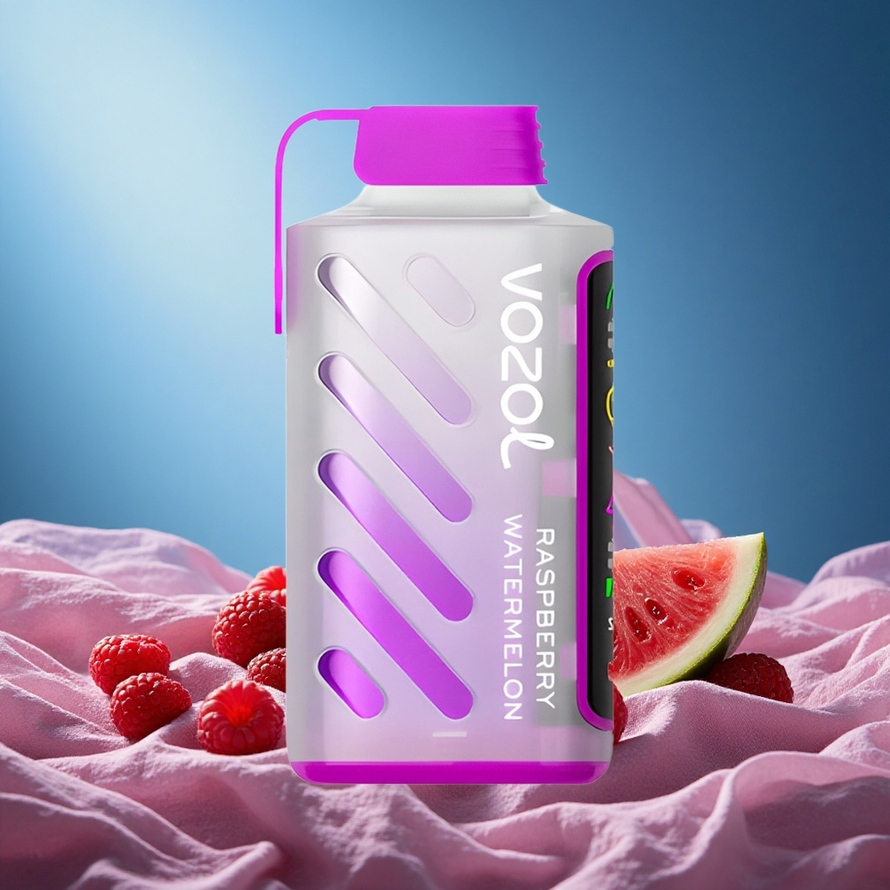 VOZOL Gear Power 20000 Puffs Full Screen Display Dual Mesh Coil 20mL Raspberry Watermelon 5% grossiste puff