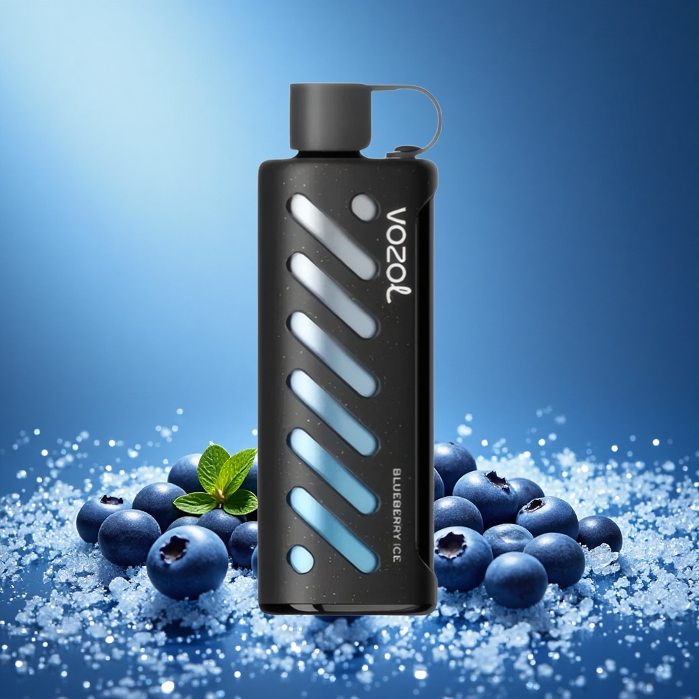 VOZOL Gear 25000 Puffs Blueberry Ice Disposable Vape with 30 Flavors S.i.L.C Tech Dual Mesh Modes 1000mAh 5mg/ml grossiste puff