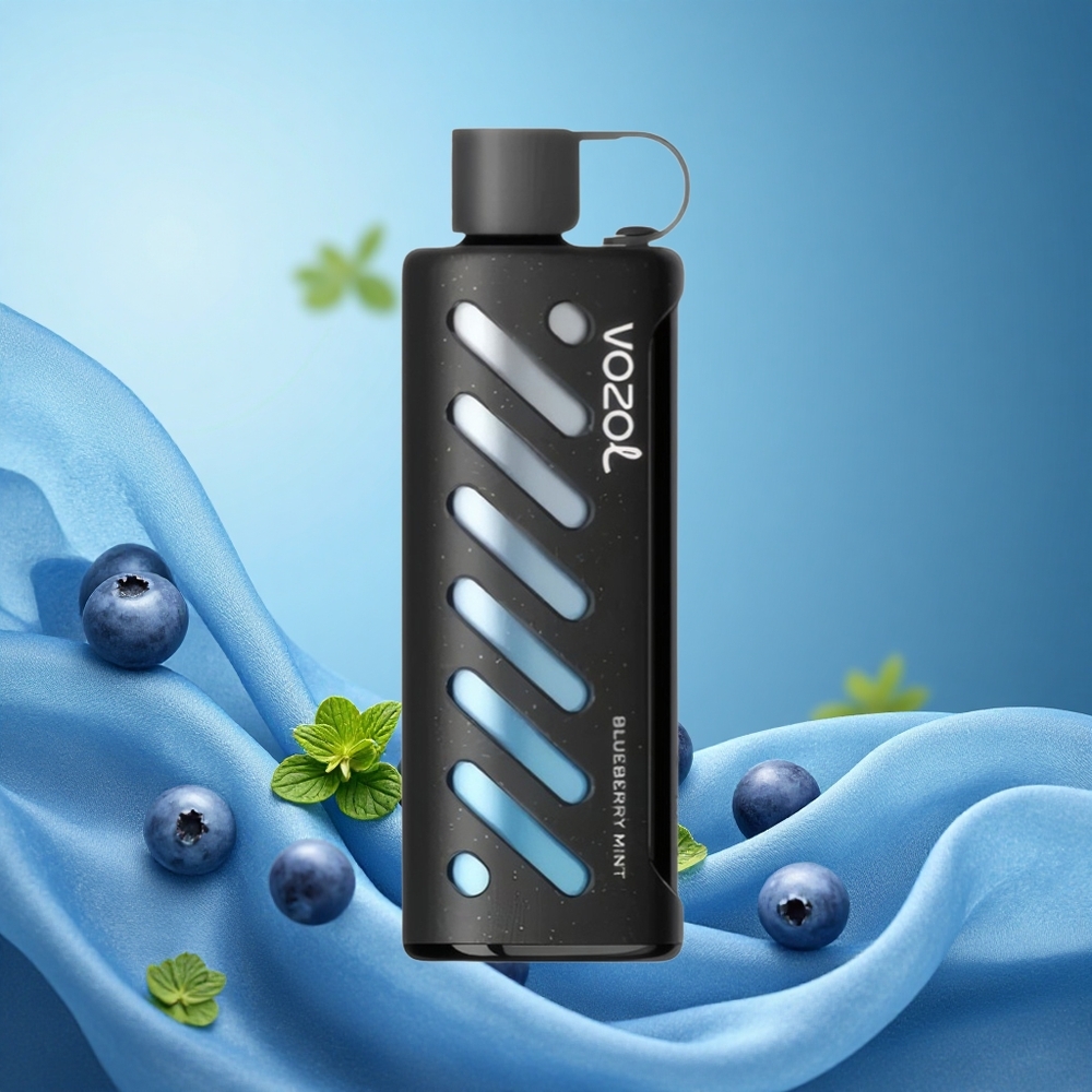 VOZOL Gear 25000 Puffs Blueberry Mint Disposable Vape with Dual Mesh Modes, 1000mAh Battery, 5mg Nicotine - grossiste puff