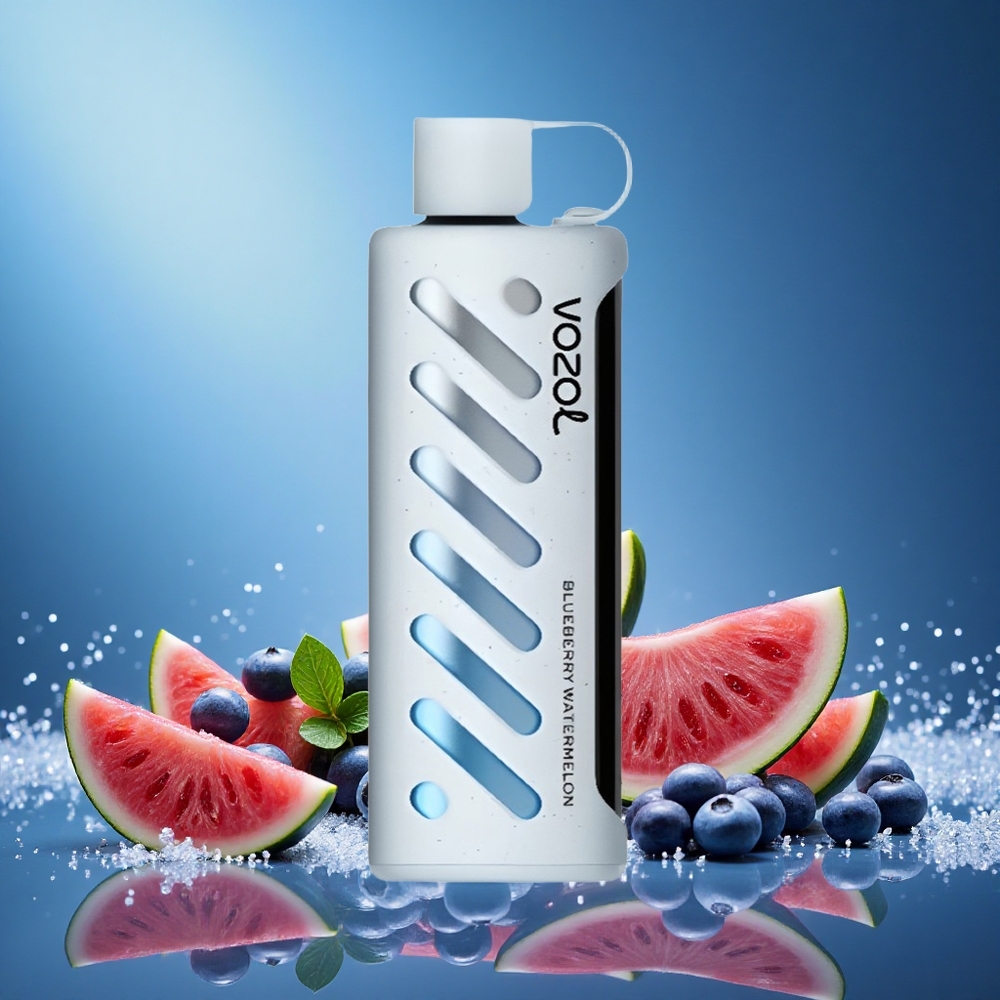 VOZOL Gear 25000 Puffs Blueberry Watermelon Disposable Vape with S.i.L.C Tech,grossiste puff