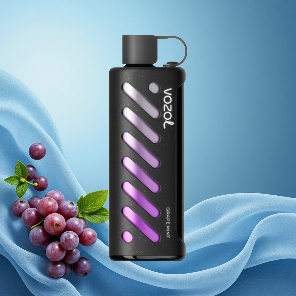 VOZOL Gear 25000 Puffs Grape Mint Disposable Vape with S.i.L.C Tech, Dual Mesh Modes, 1000mAh Battery, 5mg Nicotine, grossiste puff