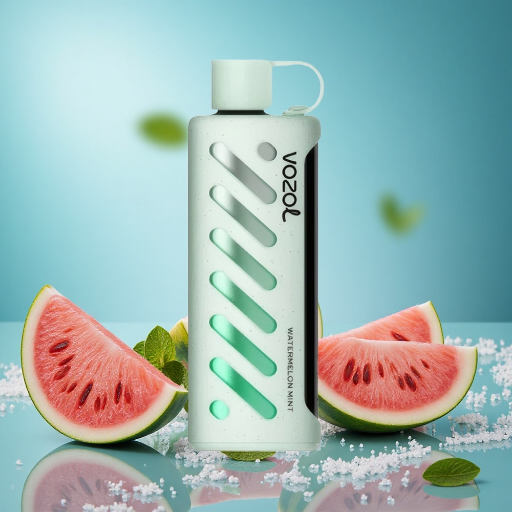 VOZOL Gear 25000 Puffs Watermelon Mint Disposable Vape with 1000mAh Battery 5mg Nicotine 30 Flavors grossiste puff