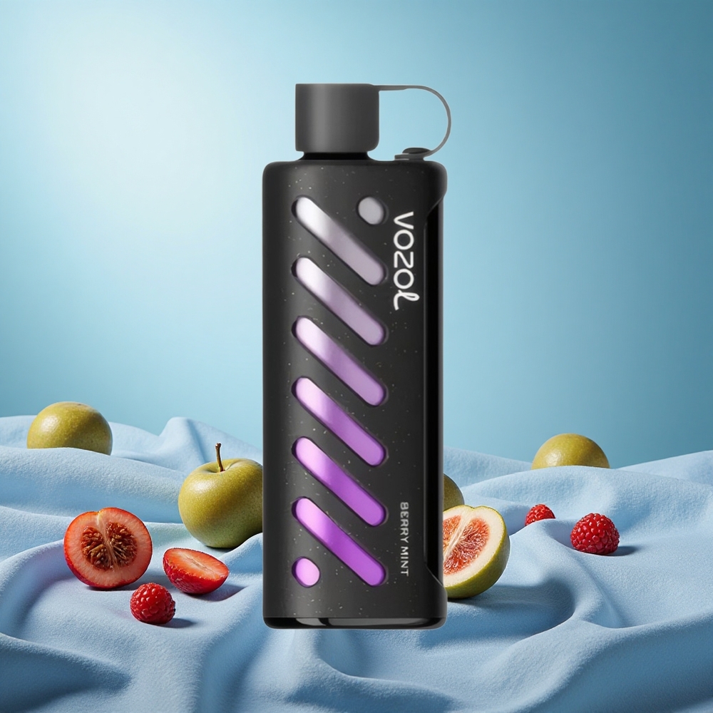 VOZOL Gear Shisha 25000 Puffs Berry Mint Disposable Vape with 1000mAh Battery Dual Mesh Modes 5mg Nicotine grossiste puff