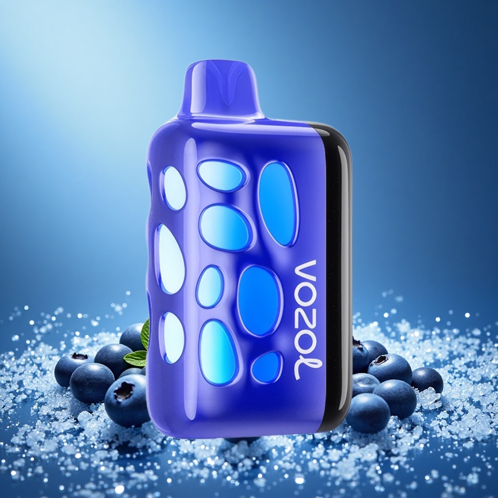 VOZOL RAVE 40000 Disposable Vape Blueberry Ice 1000mAh Battery grossiste puff