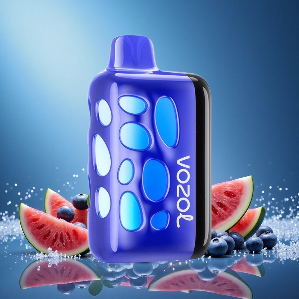 VOZOL RAVE 40000 Disposable Vape Blueberry Watermelon 20mg/ml Nicotine 1000mAh Battery grossiste puff