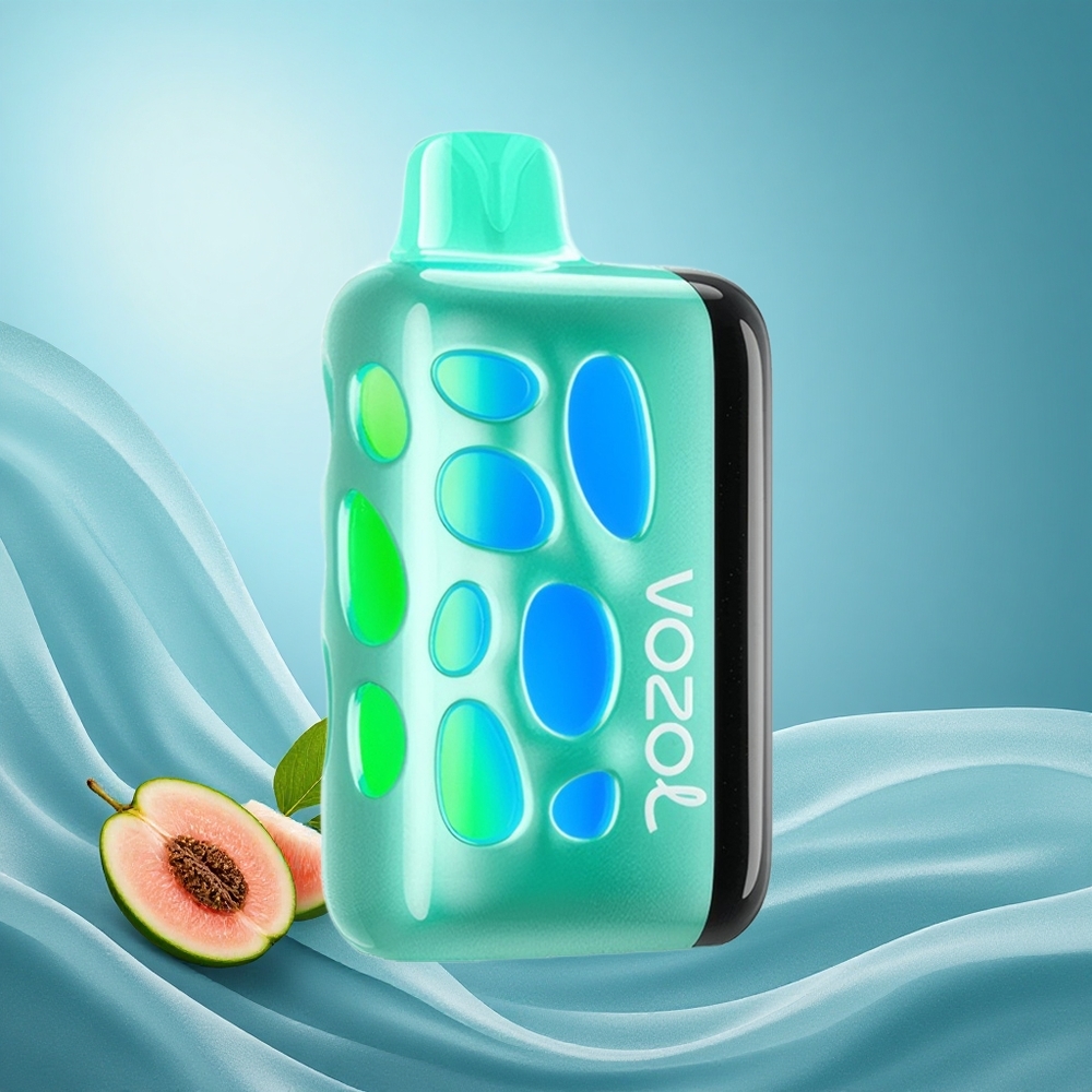 VOZOL RAVE 40000 Disposable Vape Cool Mint e Eclipse Vaping 1000mAh grossiste puff