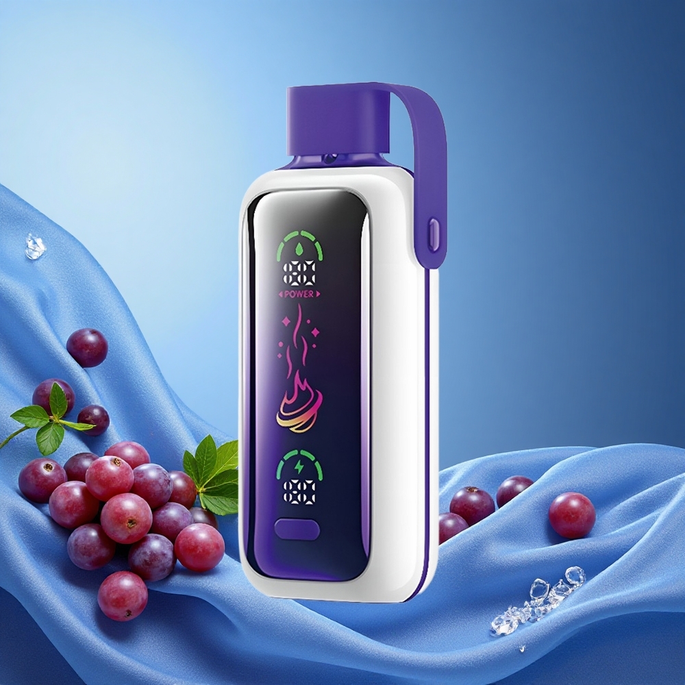 VOZOL Star 20000 Puffs Dual Mesh 650mAh Grape Ice grossiste puff