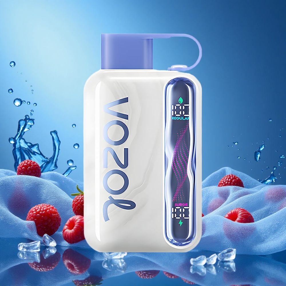 VOZOL STAR 40000 Puffs Disposable Vape Blue Razz Ice 1000mAh Type-C 20/50mg/ml grossiste puff