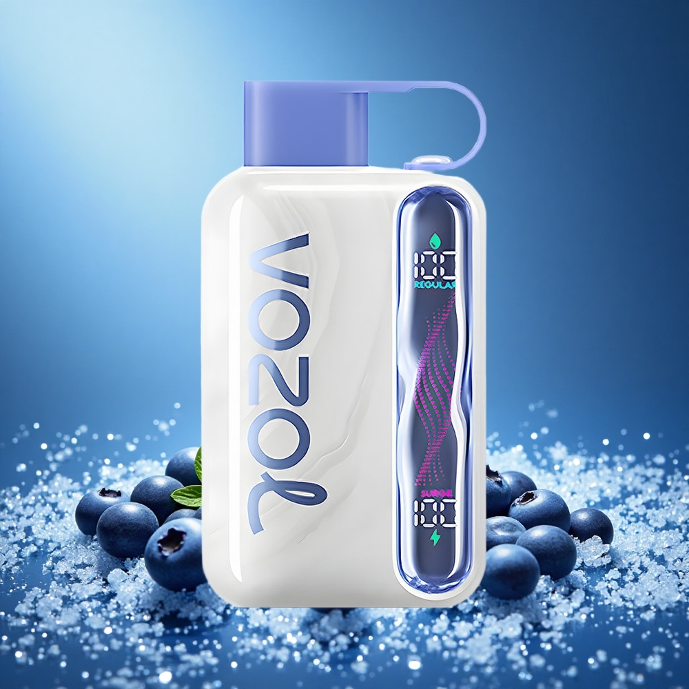 VOZOL STAR 40000 Puffs Disposable Vape Blueberry Ice 1000mAh Type-C 20/50mg/ml grossiste puff