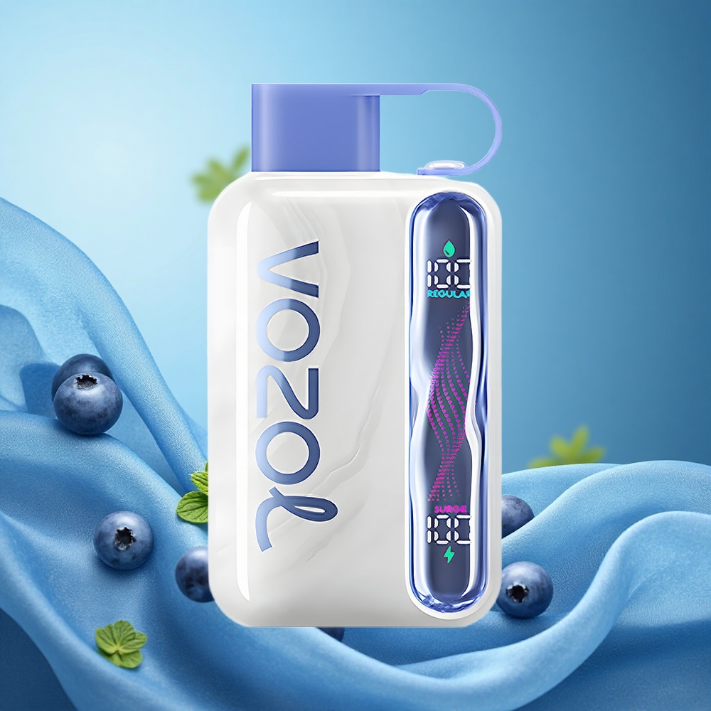 VOZOL STAR 40000 Puffs Disposable Vape Blueberry Mint 1000mAh Type-C 20/50mg/ml grossiste puff