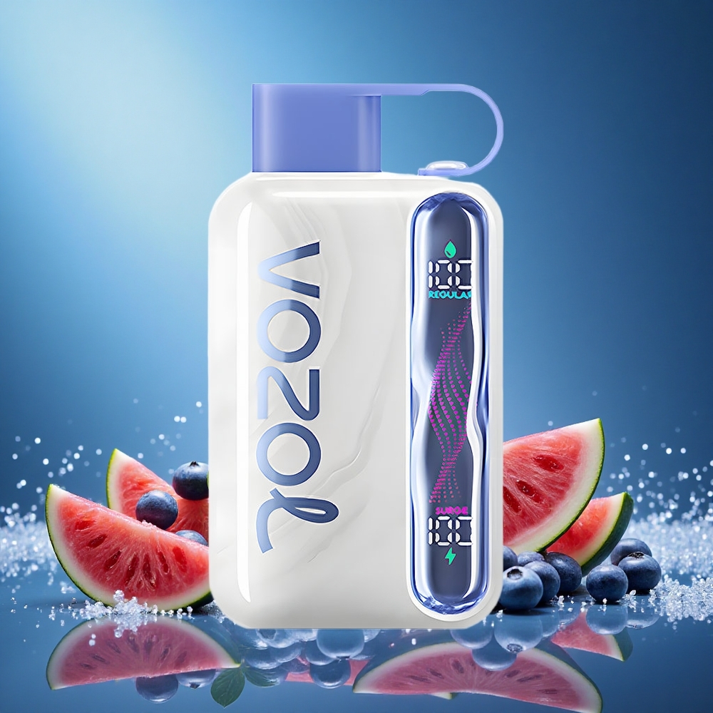 VOZOL STAR 40000 Puffs Disposable Vape Blueberry Watermelon 1000mAh Type-C 20/50mg/ml grossiste puff