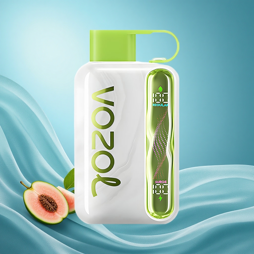 VOZOL STAR 40000 Puffs Disposable Vape Cool Mint 1000mAh Type-C 20/50mg/ml grossiste puff