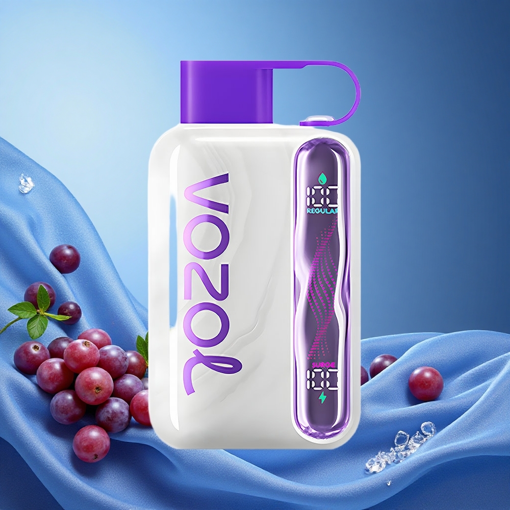 VOZOL STAR 40000 Puffs Disposable Vape Grape Ice 1000mAh Type-C 20/50mg/ml grossiste puff