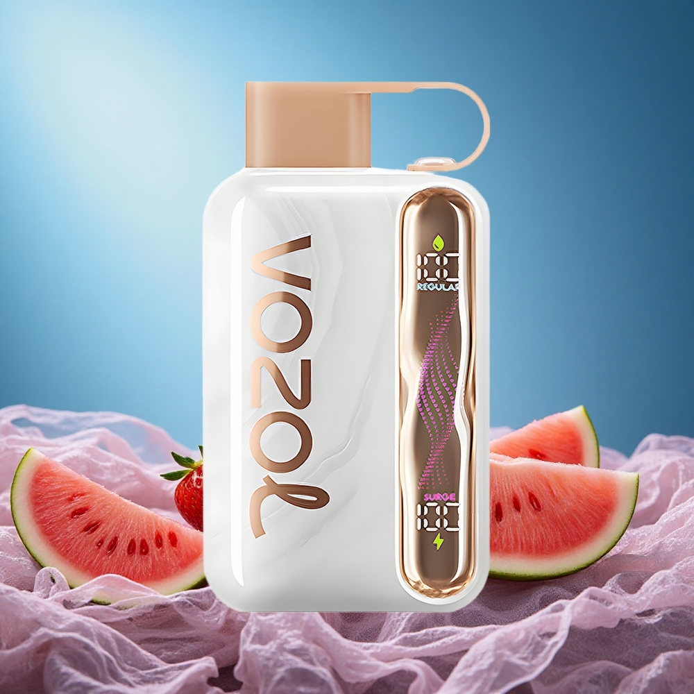 VOZOL STAR 40000 Puffs Disposable Vape Strawberry Watermelon 1000mAh Type-C 20/50mg/ml grossiste puff