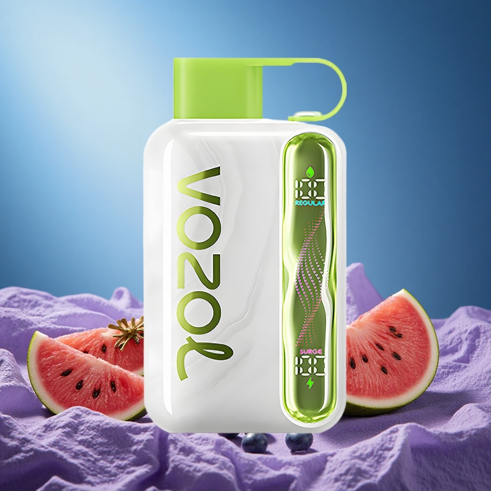 VOZOL STAR 40000 Puffs Disposable Vape Watermelon Grape Boysenberry 1000mAh Type-C 20/50mg/ml grossiste puff