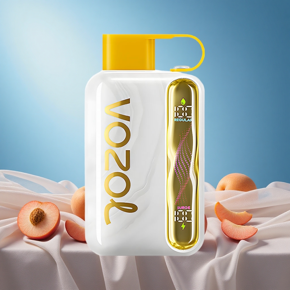 VOZOL STAR 40000 Puffs Mango Peach Disposable Vape 1000mAh Type-C 20/50mg/ml grossiste puff