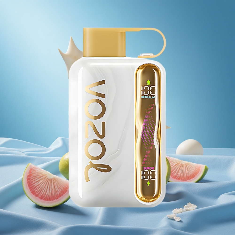 VOZOL STAR 40000 Puffs Melon Gum Disposable Vape 1000mAh Type-C 20/50mg/ml grossiste puff
