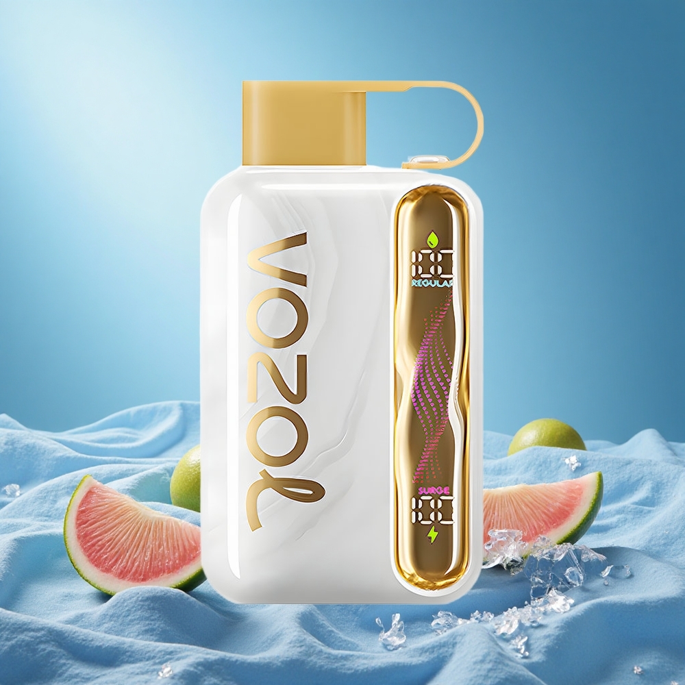 VOZOL STAR 40000 Puffs Melon Ice Disposable Vape 1000mAh Type-C 20/50mg/ml grosste puff