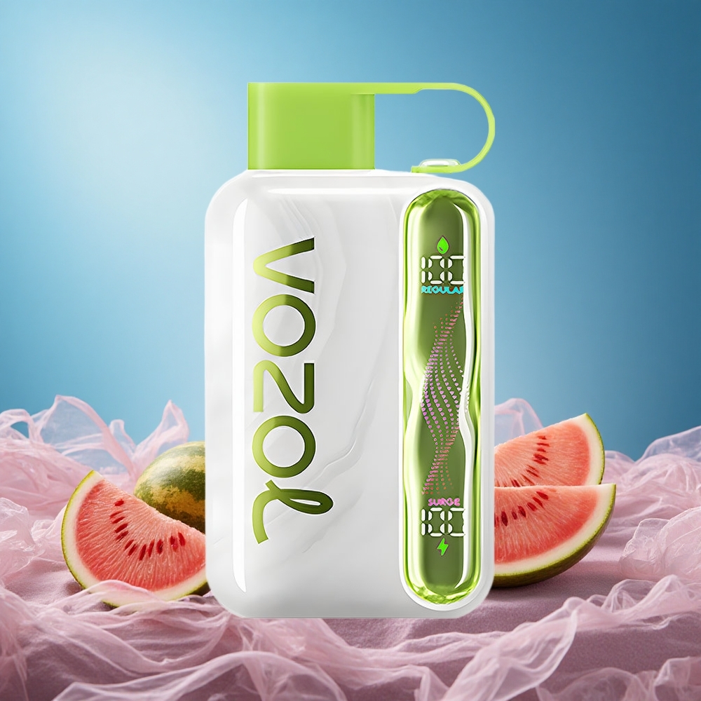 VOZOL STAR 40000 Puffs Watermelon Sour Peach Disposable Vape 1000mAh Type-C 20/50mg/ml grossiste puff