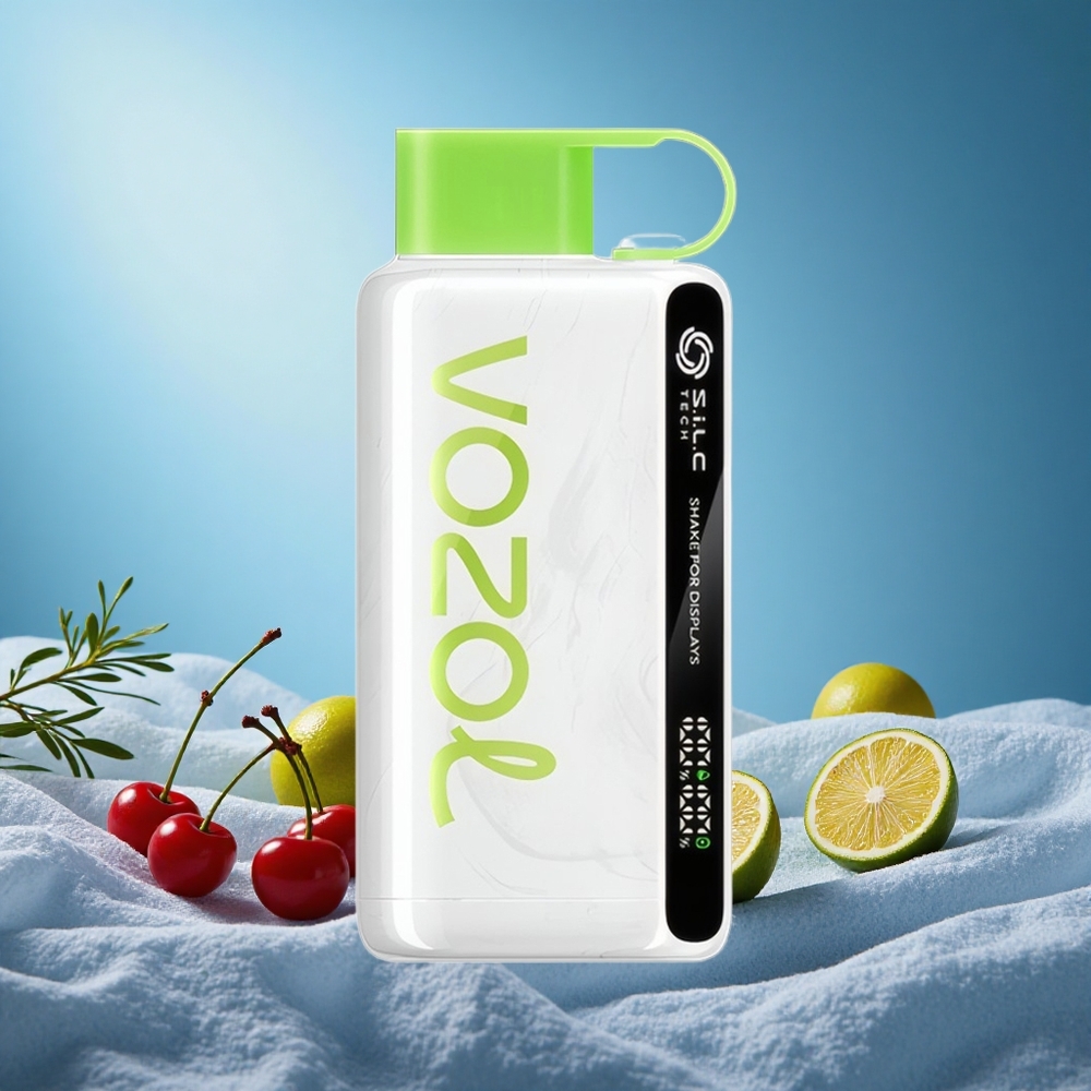 VOZOL STAR 12000 Puffs Cherry Lime Disposable Vape with 650mAh Battery grossiste puff