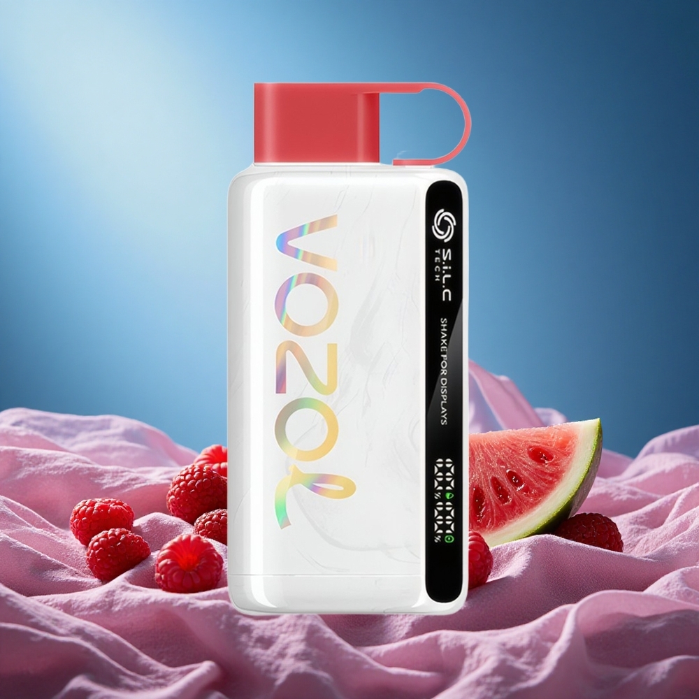 VOZOL STAR 12000 Puffs Raspberry Watermelon Disposable Vape with 650mAh Battery grossiste puff