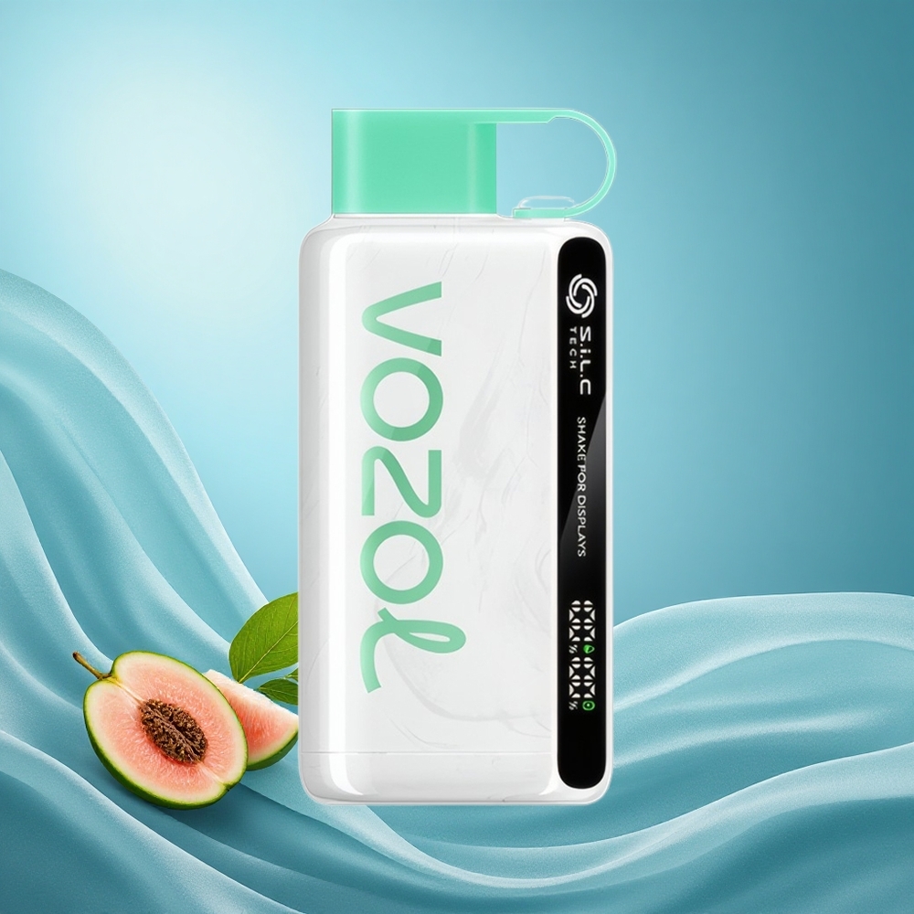 VOZOL STAR 9000/12000 Disposable Vape Cool Mint 650mAh 30% Faster Charge grossiste puff
