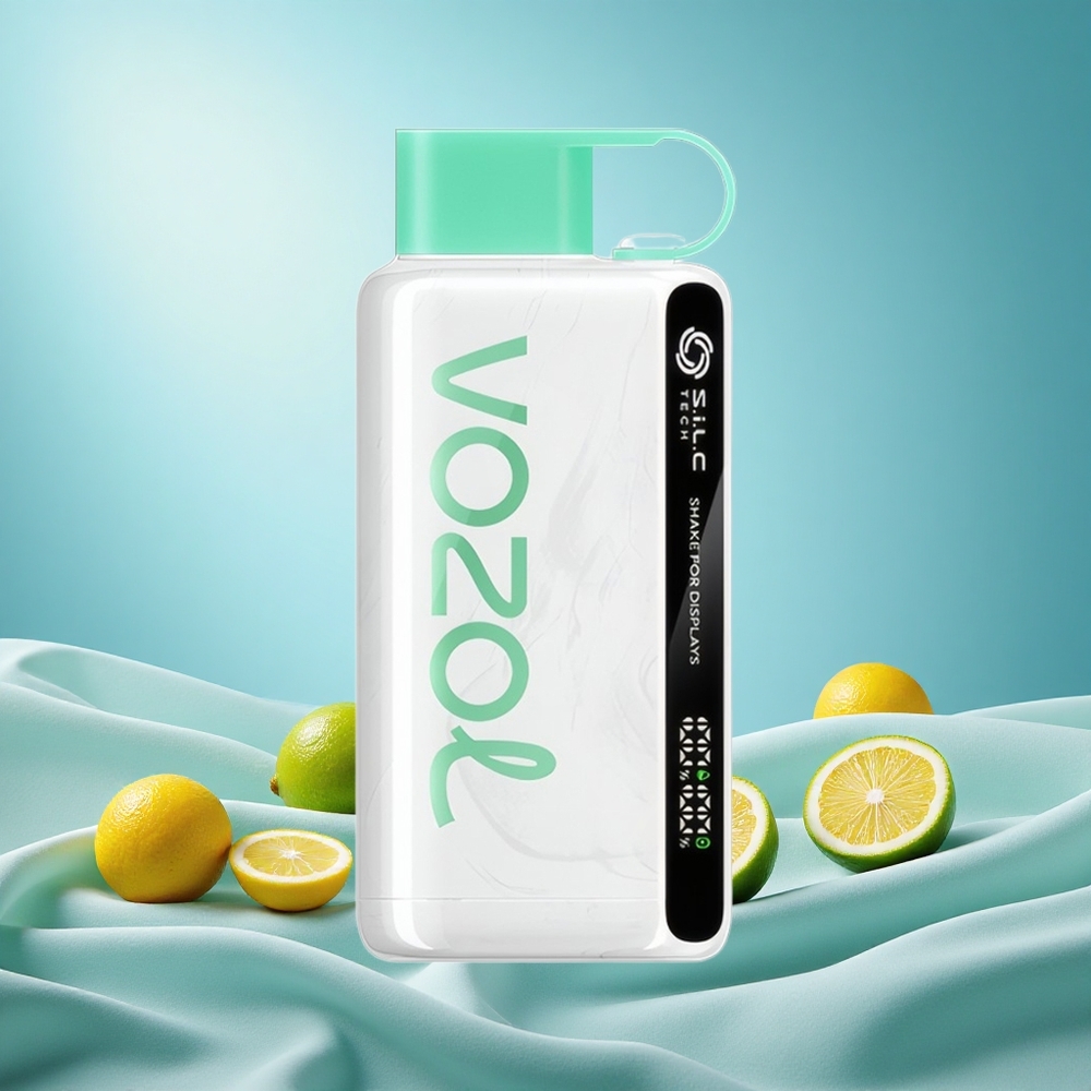 VOZOL STAR 9000/12000 Puffs Disposable Vape Lemon Mint 650mAh Battery 30% Faster Charge grossiste puff