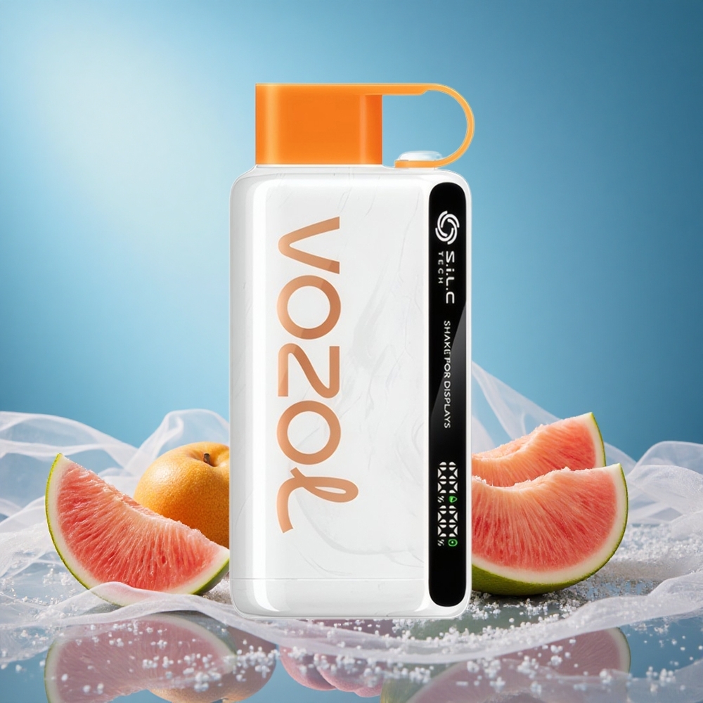 VOZOL STAR 9000/12000 Puffs Disposable Vape Peach Mango Watermelon S.i.L.C TECH 650mAh grossiste puff