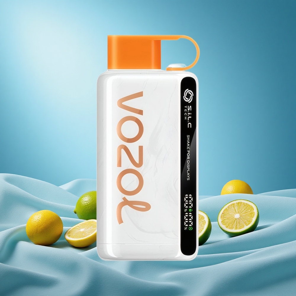 VOZOL STAR 9000/12000 Puffs Lemon Lime Disposable Vape with 650mAh Battery S.i.L.C TECH 30% Faster Charge grossiste puff