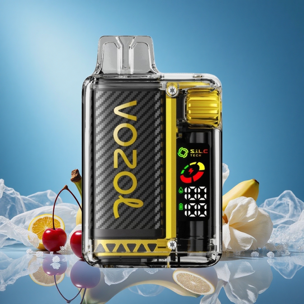 VOZOL Vista 20000 Puffs Dragon Fruit Banana Cherry Rechargeable 650mAh 2% Nicotine OLED Screen grossiste puff
