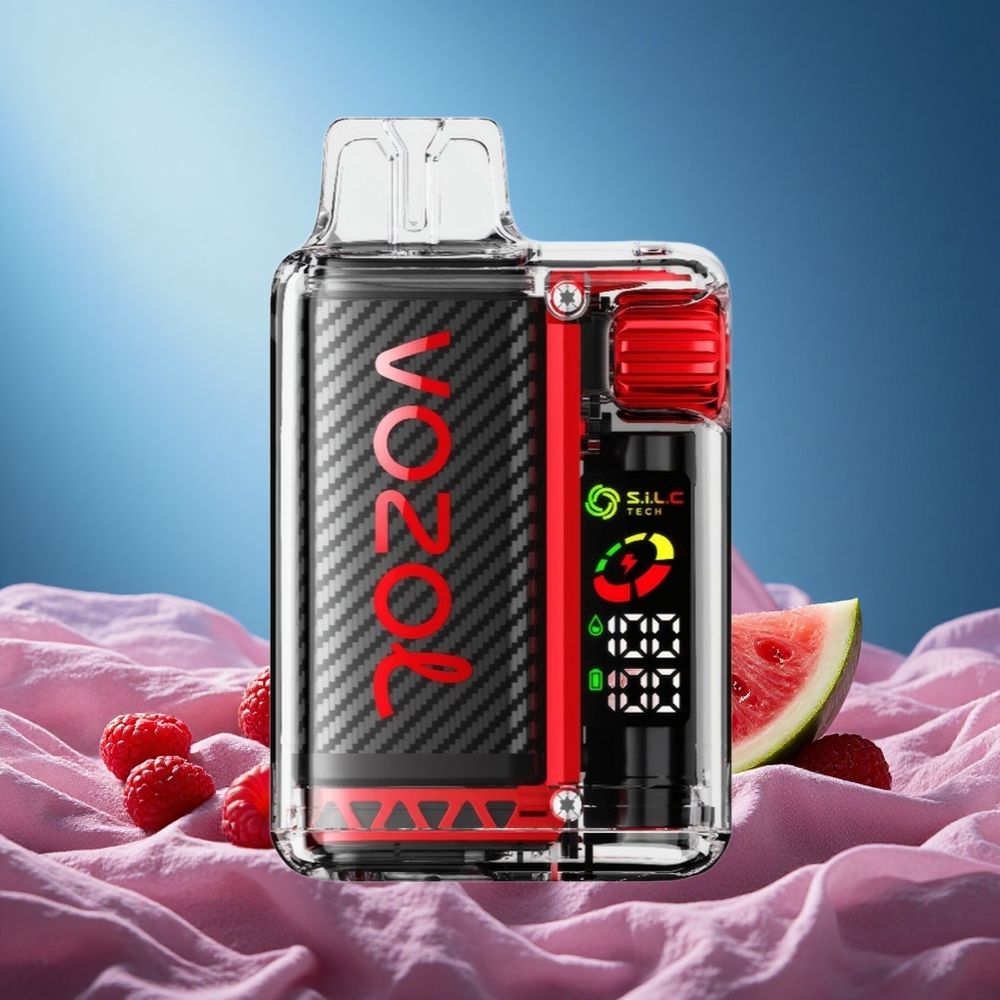 VOZOL Vista 20000 Puffs Raspberry Watermelon Disposable Vape with 650mAh Rechargeable Battery 2% Nicotine grossiste puff