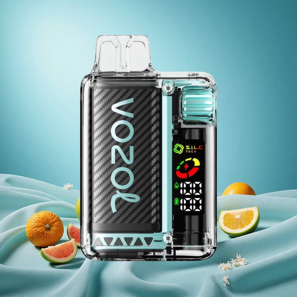VOZOL Vista 20000 Puffs Rechargeable 650mAh MTL Miami Mint Disposable Vape with OLED Screen grossiste puff