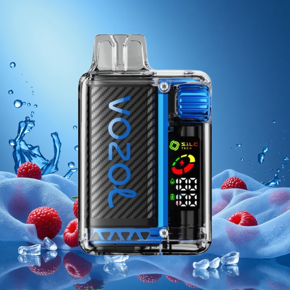 VOZOL Vista 20000 Puffs Rechargeable 650mAh MTL Vaping Blue Razz Ice Disposable Vape with Dual Mesh Coil grossiste puff