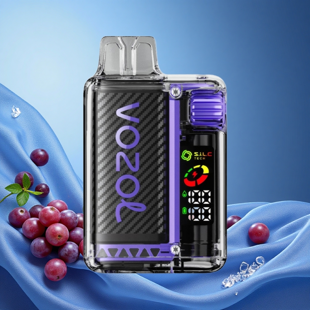 VOZOL Vista 20000 Puffs Rechargeable 650mAh MTL Vaping S.i.L.C Tech Dual Mesh Coil Grape Ice grossiste puff