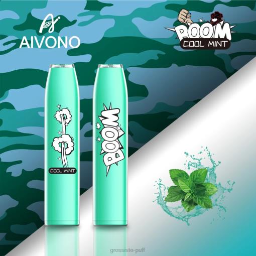 Aivono AIM BOOM 600 Cool Mint TLF20357