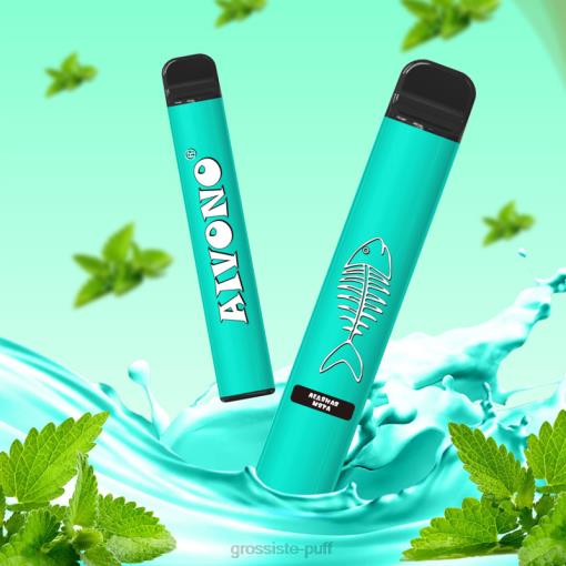 Aivono AIM FISHBONE 600 Cool Mint TLF20278