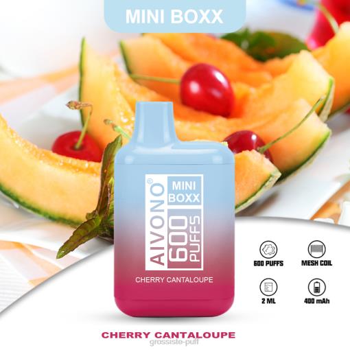 Aivono AIM MINI BOXX 600 Cherry Cantaloupe TLF20239