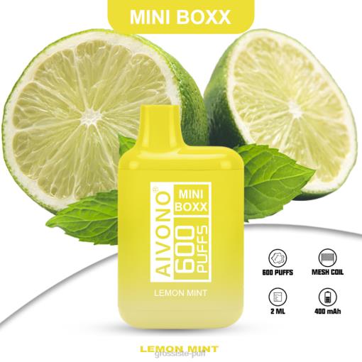 Aivono AIM MINI BOXX 600 Lemon Mint TLF20233