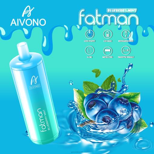 Aivono FATMAN 6800 Blueberry Mint TLF2022