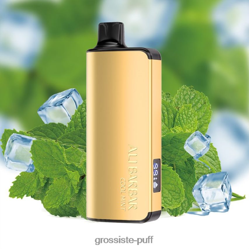Alibarbar Ingot 20000 Disposable Vape Cool Mint Z0642235