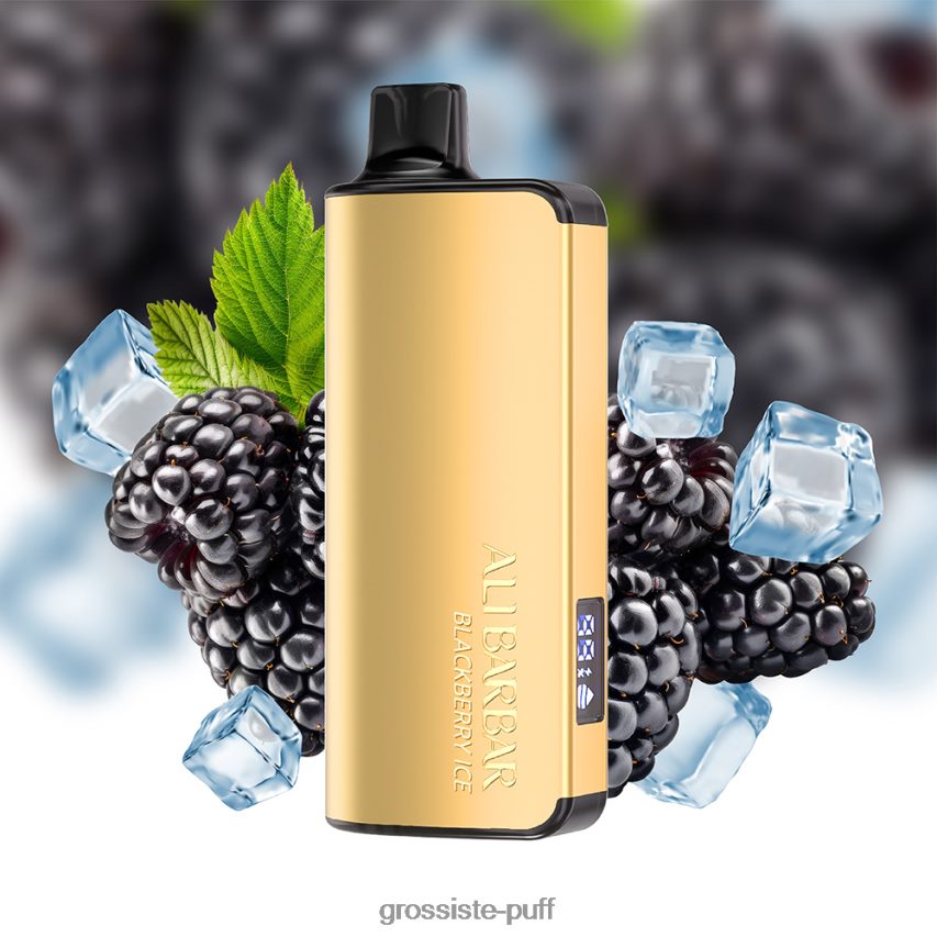 Alibarbar Ingot 9000 Disposable Vape Blackberry Ice Z0642230 Alibarbar Ingot 9000 Disposable Vape Blackberry Ice Z0642230