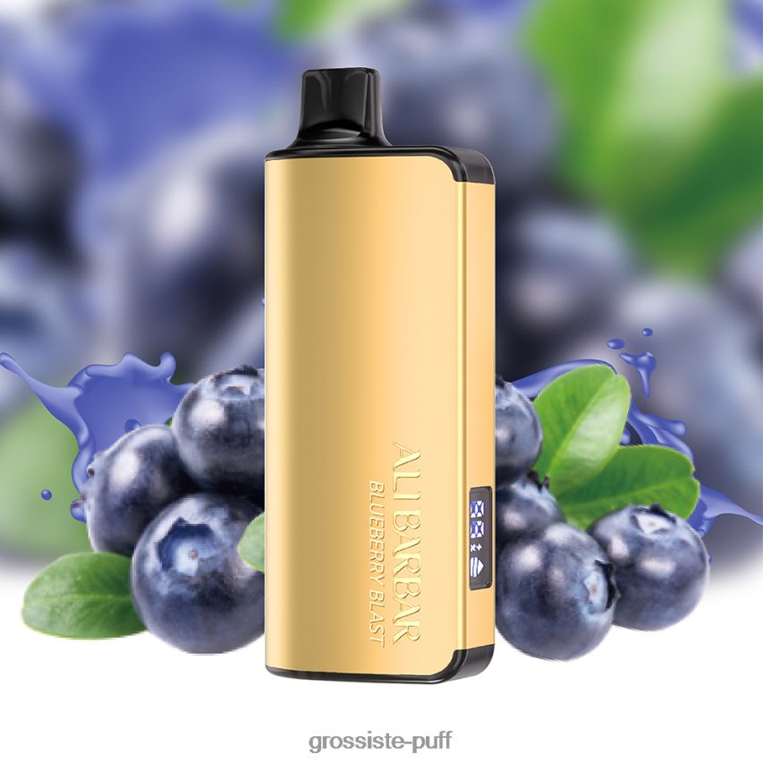 Alibarbar Ingot 9000 Disposable Vape Blueberry Blast Z0642215