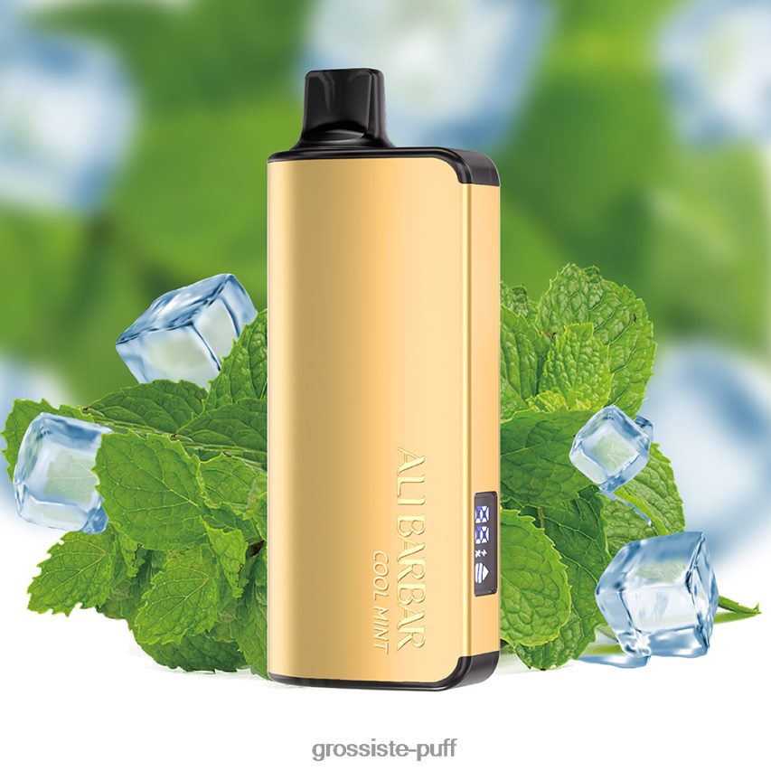 Alibarbar Ingot 9000 Disposable Vape Cool Mint Z0642218